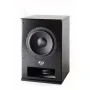 Сабвуфер M&K Sound Push-Pull X12 Black